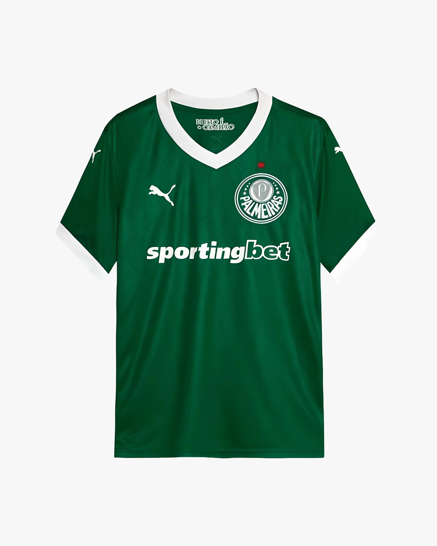 PALMEIRAS HOME 2025
