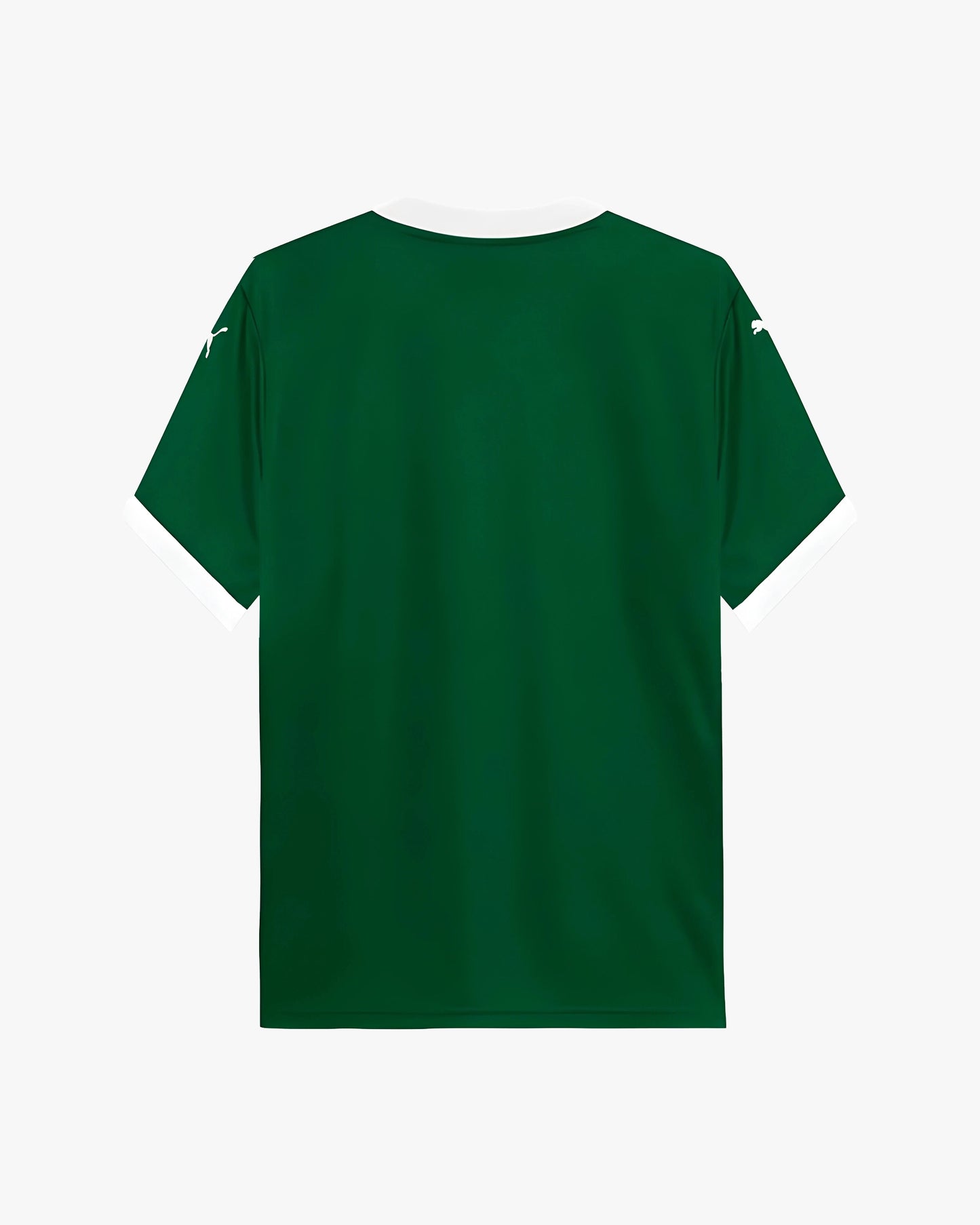 PALMEIRAS HOME 2025
