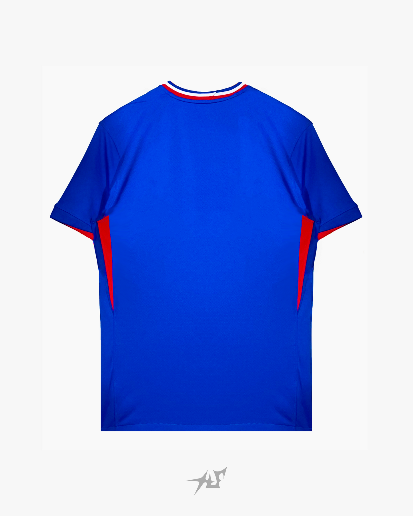 FRANCE HOME 2024